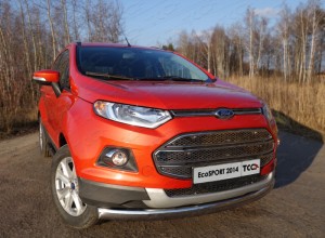 Обвес для FORD EcoSport 2014- Защита передняя нижняя (овальная) 75х42 мм