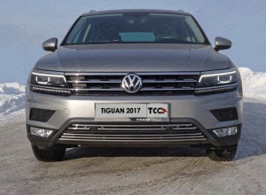 Обвес для VOLKSWAGEN Tiguan 2017-2021 Решетка радиатора верхняя 16 мм (Пакет Offroad)